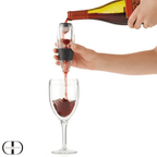 Aerador e Decantador de Vinho com Filtro e Suporte