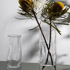 Vaso de Vidro para Arranjos Florais e Hidroponia