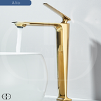 Torneira de Banheiro com Misturador – Nina